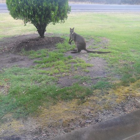 Motel Dimboola Luaran gambar